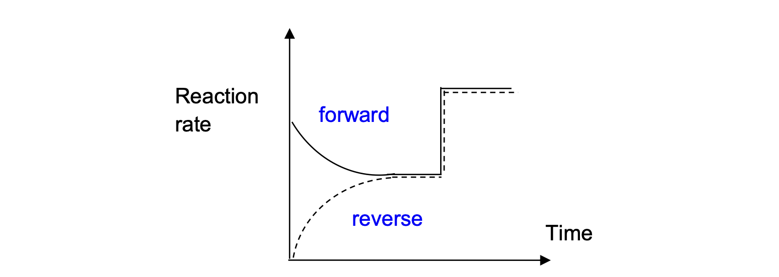 Reaction rate vs time graph showing both forward and reverse rates increasing equally when a catalyst is added, with no change in equilibrium position