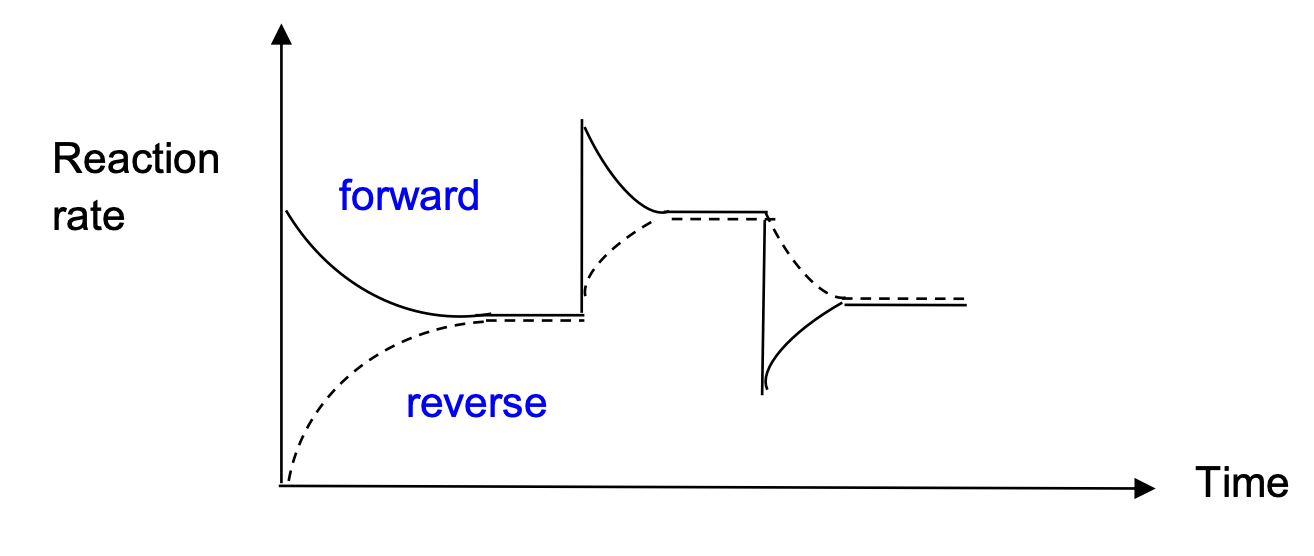 Reaction rate vs time graph showing forward and reverse rates responding to an increase and then decrease in reactant concentration