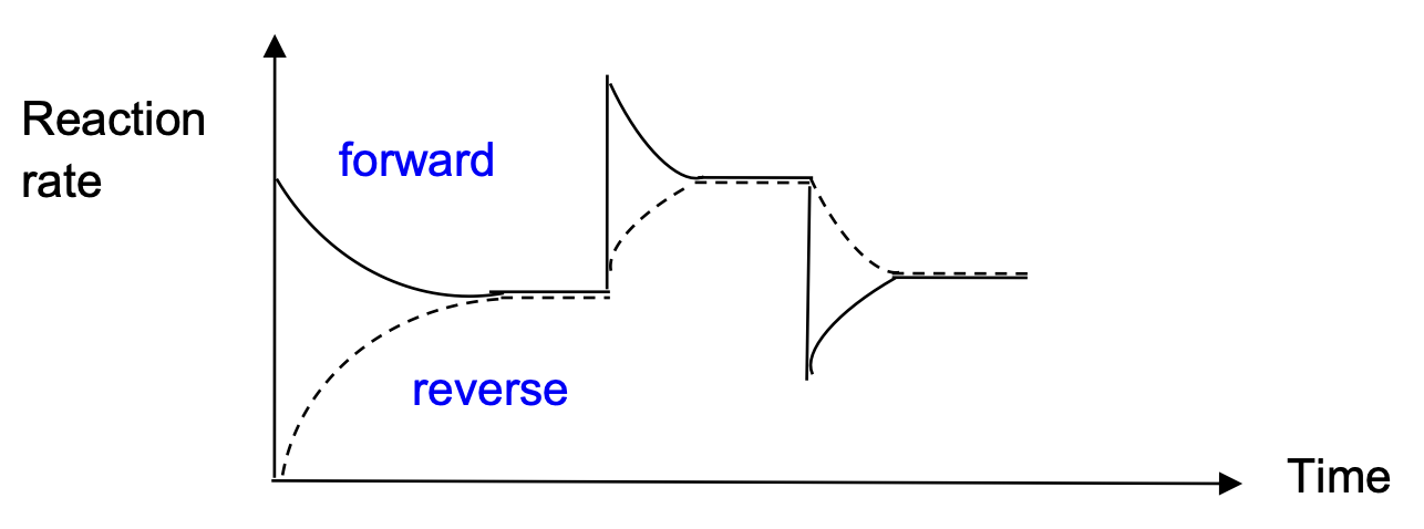 Reaction rate vs time graph showing forward and reverse rates at equilibrium, then responding to a pressure increase at t₁ and a pressure decrease at t₂