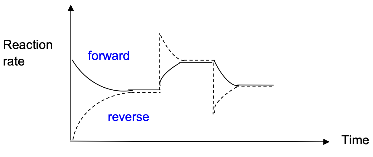 Reaction rate vs time graph showing forward and reverse rates approaching equilibrium, then responding to a temperature increase at t₁ and a temperature decrease at t₂